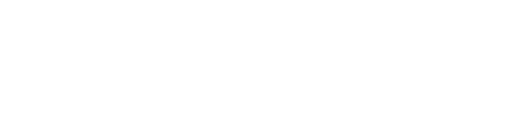 The Motorist